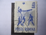 Stamps Romania -  Campionatele Europene de Volei 1963.