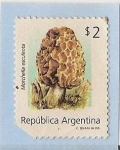 Stamps Argentina -  Morchella Esculenta