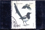Stamps Ireland -  AVES- URRACA PICA PICA