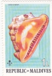 Stamps : Asia : Maldives :  CONCHA DE MAR-CASSIS NANA