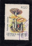 Stamps Argentina -  Pcilocybe Cubensis
