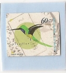 Stamps : America : Argentina :  Picaflor