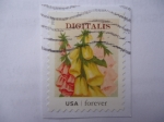 Stamps United States -  Digitalis.