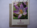 Stamps Germany -  S/Alemania:2387 - Krokus.