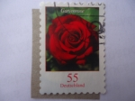 Stamps Germany -  S/Alemania:2315 - Gartenrose.