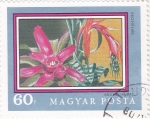 Stamps Hungary -  F L O R E S- BROMELIACEA