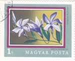 Stamps Hungary -  F L O R E S- VINCA HERBACEA