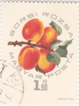 Stamps Hungary -  F R U T A-