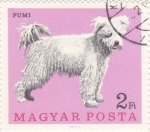 Stamps : Europe : Hungary :  PERRO DE RAZA