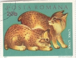Stamps : Europe : Romania :  L I N C E S