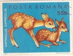 Stamps Romania -  C E R V A T I L L O S