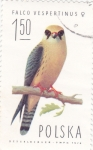 Stamps Poland -  AVE- ALCON VESPERTINUS