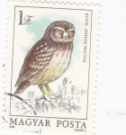 Stamps Hungary -  AVE- LECHUZA