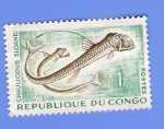 Stamps Republic of the Congo -  chauliodus sloanei