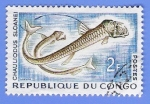 Stamps Africa - Republic of the Congo -  CHAULIODUS SLOANEI
