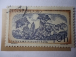 Stamps Czechoslovakia -  Genciana de Clusius ó Hierva de los Alpes - Horec Clusiov - TANAP.
