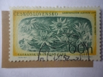 Stamps Czechoslovakia -  Flor de las Nieves ó Plesnivec Alpky - TANAP.