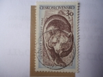 Stamps : Europe : Czechoslovakia :  Oso Pardo - Medved-Ursus Arctos. Tatranský Narodný Park. (Tanap)