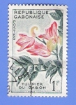 Stamps Africa - Gabon -  TULIPIER DU GABON