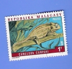 Stamps : Africa : Madagascar :  CAMALEON CAMPANI