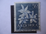 Sellos del Mundo : Europa : Andorra :  Narcissus Pseudonarcissus