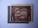 Stamps : Europe : Romania :  Timbrul Aviatiei - Rumania, 1 Leu