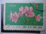 Stamps : Asia : North_Korea :  Corea del Norte - Flora.