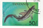 Stamps Tanzania -  tiburon tigre