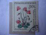 Stamps : Europe : Czechoslovakia :  Flora . Michel N° 1235 - Yvert N°1116