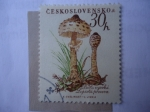 Sellos de Europa - Checoslovaquia -  Flora - Michel N°1101 -. Yvert N° 984
