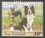 Stamps New Zealand -  Australian Shepherd (Canis lupus familiaris)