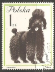 Stamps Poland -  Puddle Frances