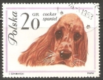 Stamps Poland -  Cocker-Spaniel 