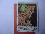Stamps Spain -  Ed:3464 - Felino-Gineta- Fauna Española en Peligro de Extinción