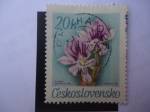 Stamps Czechoslovakia -  Miltonia - 