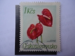 Stamps Czechoslovakia -  Anthurium.