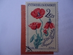 Stamps Czechoslovakia -  Vecimak.