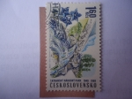 Stamps : Europe : Czechoslovakia :  Tatransky Národný Park 1949-1969
