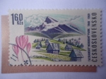 Sellos de Europa - Checoslovaquia -  Tatransky Národný Park 1949-1969