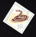 Stamps : Europe : Romania :  Vipera Ammodytes