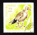 Stamps : Europe : Romania :  Hoitar alb - Neophron percnopterus
