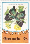 Stamps Grenada -  M A R I P O S A 