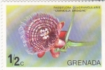 Stamps Grenada -  F L O R 