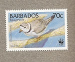 Stamps : America : Barbados :  Aves