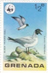 Stamps Grenada -  A V E S