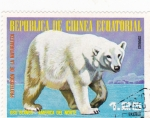 Stamps : Africa : Equatorial_Guinea :  OSO POLAR