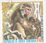 Stamps Equatorial Guinea -  MACACO-ASIA