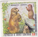 Stamps : Africa : Equatorial_Guinea :  MARMOTA-EUROPA