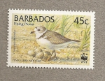 Sellos de America - Barbados -  Aves