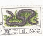 Stamps : Europe : Russia :  S E R P I E N T E 